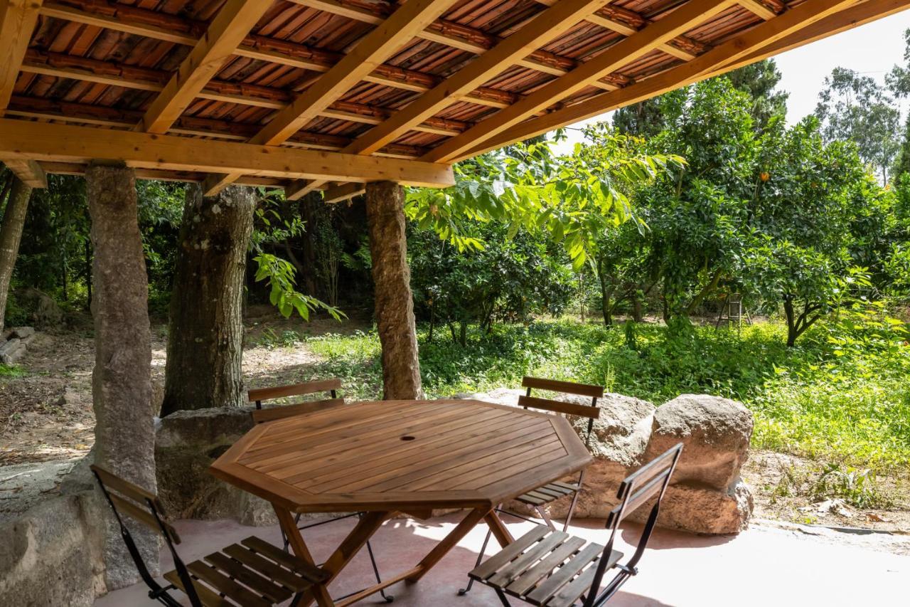 Casas Do Capitao - Paiva Valley - Pool And Nature * Castelo de Paiva