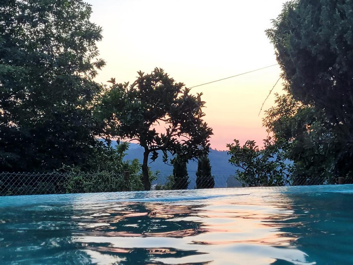 Villa Casas Do Capitao - Paiva Valley - Pool And Nature *