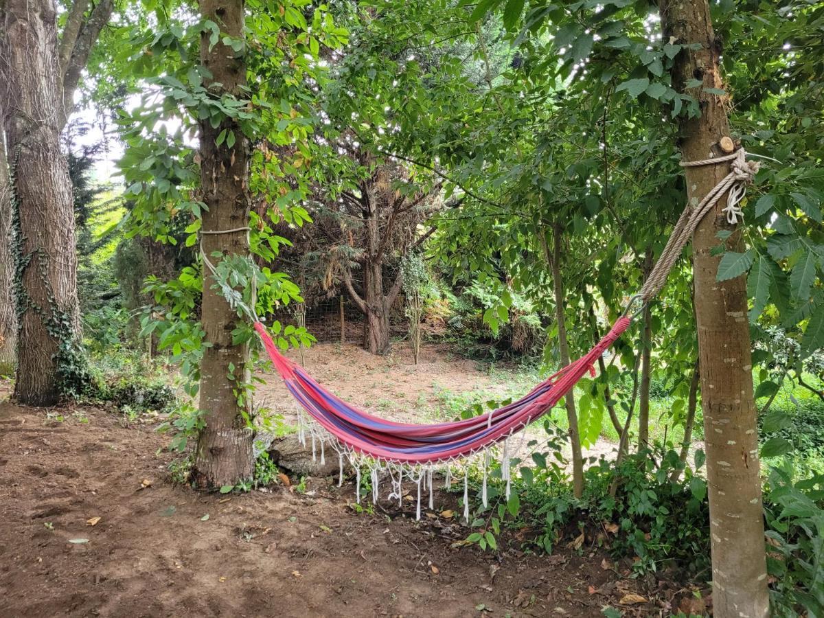 Casas Do Capitao - Paiva Valley - Pool And Nature Villa *